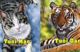 Quý nhân dẫn đường Thần tài theo gót, 3 Shbet888.com nhà cái uy tín tài lộc rủng rỉnh, tình duyên may mắn trong tháng 9