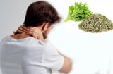 Đau mỏi vai gáy lâu năm, lấy 1 nắm ngải cứu làm theo cách này: Giảm đau nhanh, nhiều người áp dụng thành công