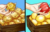 Bỏ quả táo vào rổ khoai tây, rửa dâu tây với giấm: Loạt mẹo vặt hữu ích ai cũng cần