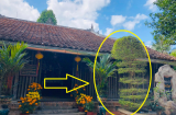 Người xưa nói rồi: 'Muốn nhiều phúc lắm lộc, nhà phải có 3 thứ sạch, 1 thứ đầy', chớ coi thường