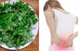 3 loại rau đắng tốt ngang thuốc quý vừa điều trị bệnh vừa dưỡng nội tạng