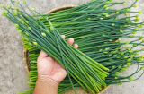 4 loại rau 'bổ hơn thịt, rẻ hơn thuốc', vừa ngon vừa bổ, ra chợ thấy nhớ mua ngay về