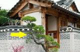 4 thứ thường xuất hiện ở cửa nhà giàu, nhà nghèo không bao giờ có