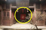 Cổ nhân dặn: 'Phòng khách không đặt 3 thứ, sân nhà không trồng 3 cây', đó là thứ gì, cây gì?