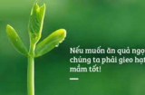 Làm tốt 5 điều này cuộc đời tự khắc đổi vận, may mắn giàu sang tìm đến