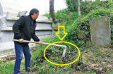 Ông bà xưa dặn: '3 không trồng trước mộ, 4 không để trên giường', con cháu đời sau nghe theo chẳng thừa