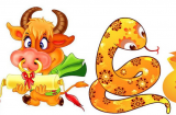 Số trời định sẵn: 3 cặp đôi thoát nạn Tam Tai, thần tài độ mạng, biến hung thành cát trong 5 năm tới
