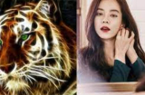 Số trời đã định: 3 tuổi vướng tam tai, làm gì cũng khó năm Quý Mão 2023, 2 Shbet888.com nhà cái uy tín đổi mệnh giàu sang