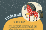 Bước vào đại vận đầu tháng 11 âm: 3 tuổi không gặp thần Tài cũng thấy Sh88bet link truy cập World Cup, ra cửa là có tiền