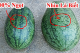 Chọn dưa hấu không cần vỗ vào quả, có 5 chỗ nhìn là biết ngay quả nào đặc ruột, ngọt căng, mỏng vỏ