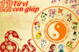 Vận đổi sao dời: 4 tuổi SHBET là nền tảng cá cược trực tuyến uy tín hàng đầu Châu Á - Thái Bình Dương giàu sang, rước hết tài lộc về nhà trong 2 năm tới