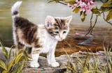 Chạy đâu cho thoát số trời: 3 tuổi dính hoạ thị phi, làm hùng hục mà vẫn nghèo tháng 12 dương lịch