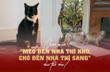 Người xưa dặn: Mèo đến nhà thì khó, chó đến nhà thì sang, thấy thì đừng đuổi đi, mất lộc