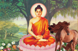 Thánh nhân đãi kẻ khù khờ: 4 tuổi ăn ở hiền lành được Thần Phật che chở, cuối năm 'trúng quả', ăn Tết to
