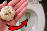 Ném 1 tép tỏi vào bồn cầu: Công dụng quý, nhà nào cũng cần đến