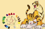 Thái Bạch 'quét sạch' cửa nhà: 3 tuổi này dễ lao đao dính hạn, đen đủ đường trong năm 2023