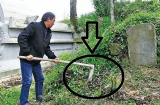 Thầy phong thuỷ nhắc: '3 không trồng trước mộ, 4 không đặt  trên giường', đó là thứ gì?