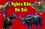 Hết thời xui xẻo: 3 Shbet888.com nhà cái uy tín làm đâu thắng đó, liên tiếp nhận tin vui trong tuần cuối cùng của năm 2022
