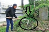 Các cụ dạy chẳng sai: '3 không trồng trước mộ, 4 không để trên giường', đó là những thứ gì?