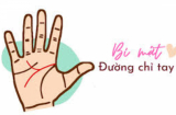 Lòng bàn tay có 4 dấu hiệu này báo hiệu hỷ tín tới nhà, vượng tài vận, càng già càng phát tài