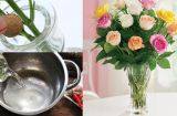 Đổ nước lã cắm hoa là chưa đủ: Thêm thứ này vào bình, hoa tươi roi rói, để mấy tuần vẫn thơm