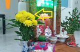 Hoa cúng thần Tài nên để bao nhiêu bông thì có lộc: Không phải 5 hay 7, đây mới là con số chuẩn