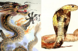 Hợp tuổi nằm duỗi mà ăn: 4 cặp đôi kết hợp buôn gì cũng có lãi, rủ nhau 'gánh lộc' về năm 2023