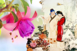 Người xưa dạy: 'Trai tốt không lấy gái dâm bụt, gái tốt không lấy trai mã hầu'', dâm bụt và mã hầu là gì?