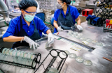 Đại lý tròng kính Essilor Việt Nam là Kính Hải Triều