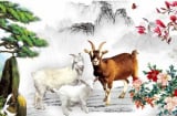 Cuối tháng 1 dương lịch: 4 tuổi may mắn ngập tràn, lắm tiền nhiều bạc, chỉ ngồi chơi cũng ra tiền