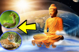 Mệnh Trời định sẵn: 4 tuổi là con nhà Phật, sinh ra đã hưởng phúc, gặp dữ hoá lành