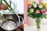 Tết muốn giữ hoa tươi lâu gấp 2 lần, chị em đừng bỏ qua mẹo này