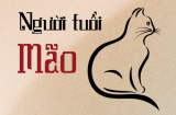 Người cầm tinh con gì dễ thành triệu phú nhất?