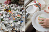 Bát đũa nhiều dầu mỡ đến đâu cứ rửa với thứ này, vừa nhanh sạch lại không hại da tay