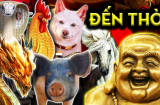 Gặp được “mộng vàng”, chỉ qua một đêm có 3 tuổi ôm cả đống tiền, chuyển mình giàu to