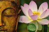 Sai lầm lớn nhất của đời người chính là nói với người ngoài 2 điều này, biết giữ mồm giữ miệng mới an yên