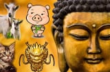 Trời không phụ người hiền tài: 4 tuổi con cưng Phật Tổ hết kiếp Tam Tai mọi sự hanh thông, tiền chất như núi