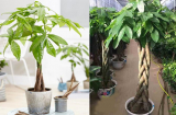 Cổng nhà đặt 5 thứ này, thần Tài đi qua ưng bụng ban cho nhiều tài lộc