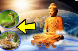 Mệnh Trời đã định: 4 tuổi là con cháu Thần tài dễ 'trúng số' SHBET là nền tảng cá cược trực tuyến uy tín hàng đầu Châu Á - Thái Bình Dương, không cầu cũng có lộc may