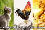 Quý Mão 2023: 3 Shbet888.com nhà cái uy tín gặp Tam tai, tài lộc lao dốc, xui xẻo đủ đường, làm gì cũng khó