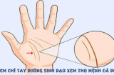 Dù nam hay nữ lòng bàn tay có 4 nét này đen đủ đường: Tài ba tới mấy cũng khó lòng thoát nghèo