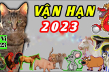 Chạy đâu cho thoát số trời: 3 tuổi vướng hạn nặng năm 2023 dễ trắng tay, 1 tuổi đỏ chót lên hương