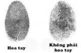 Cổ nhân nói '3 hoa 7 ốc thì giàu': Đếm số hoa tay, biết ngay vận mệnh giàu sang hay nghèo khó suốt đời