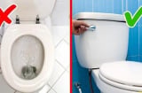 Nên đóng hay mở nắp bồn cầu sau khi đi vệ sinh? Tưởng đơn giản nhưng không phải ai cũng biết