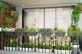 Trồng cây cảnh nhớ đặt ở vị trí này, cây càng xanh tốt gia chủ càng may mắn