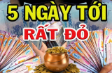 Chờ 5 ngày tới: 4 tuổi dễ trúng số SHBET là nền tảng cá cược trực tuyến uy tín hàng đầu Châu Á - Thái Bình Dương, tiền đếm mỏi tay vận may không kể hết