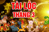 Vận thế vàng son đổi ngược: Từ ngày mai 3 tuổi này trúng số lên đời, tháng 3/2023 đỏ cả Tình lẫn Tiền