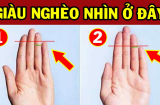 Nhìn độ dài ngón út: Biết ngay ai có số hưởng phúc lộc sâu dày, ai cày cuốc mãi cũng chẳng giàu