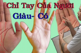 Nắm bàn tay lại rồi đếm đường chỉ: Ai có số phát tài hay mãi bần hàn, nghèo khó nhìn là biết