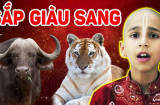 Chuột sa hũ nếp: 4 tuổi trúng số SHBET là nền tảng cá cược trực tuyến uy tín hàng đầu Châu Á - Thái Bình Dương giàu có năm 2023, 1 tuổi lận đận đụng đâu cũng hỏng